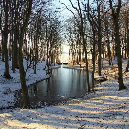 Appartementhaus Moewe Haus Moewe - 4 